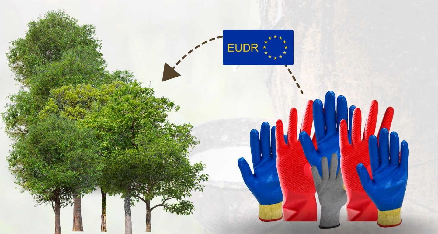 The New Global Arena: ถุงมือยางไทยกับกติกาใหม่ที่ต้องพิชิต