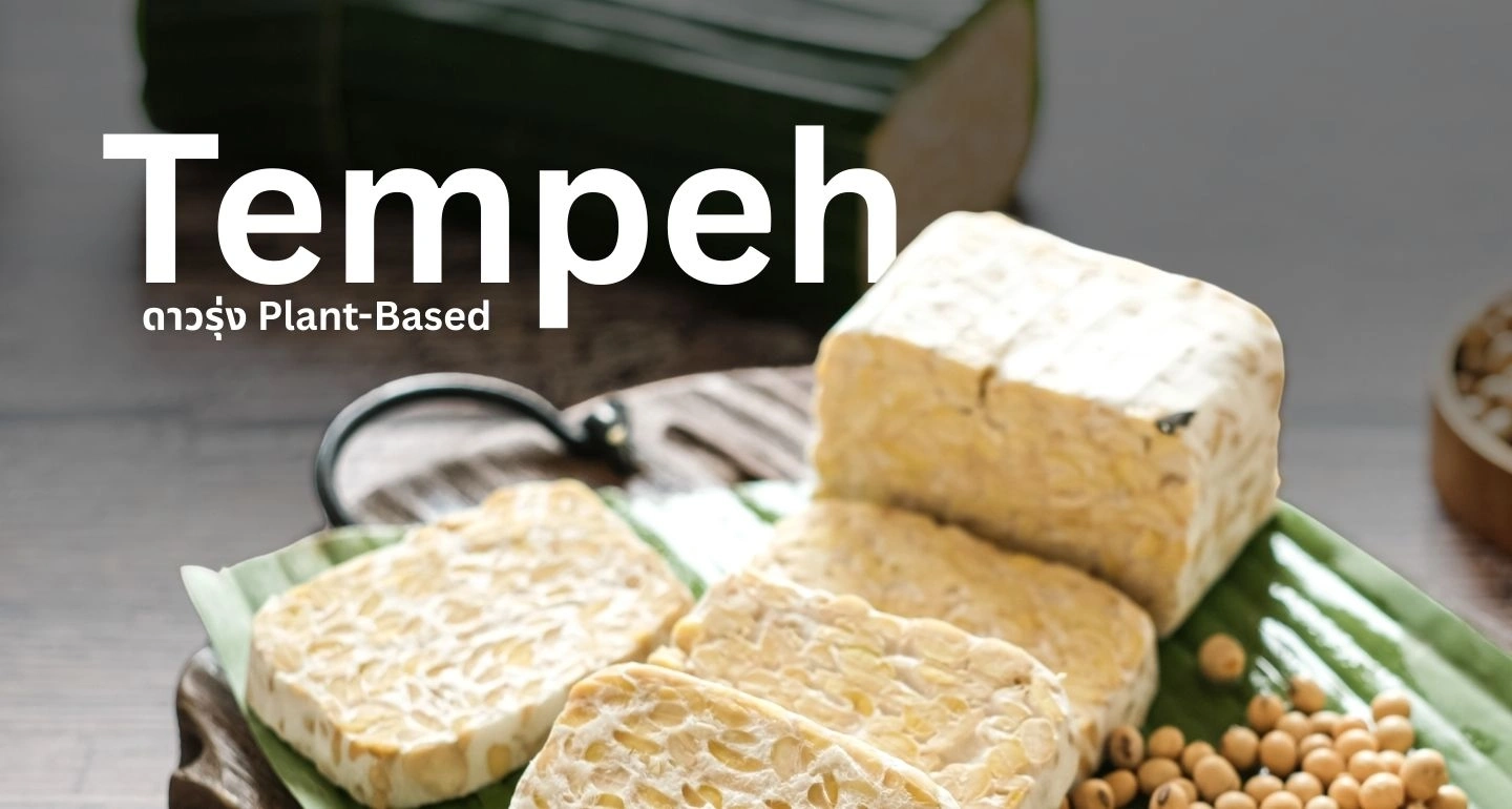 สนค. ชี้ “เทมเป้” ดาวรุ่ง Plant-Based สู่ตลาด Future Food โลก