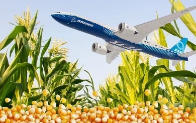 เช็กลิสต์สินค้าสหรัฐฯ ที่ไทยเตรียมซื้อเพิ่ม ต่อรองภาษีทรัมป์