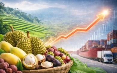 สนค. กางสถิติส่งออกสินค้าเกษตรไทย ปี 2568 “อุตสาหกรรมเกษตร” เครื่องยนต์หลักโตต่อเนื่อง 2 ปีซ้อน