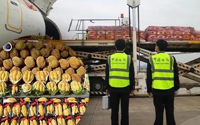 เที่ยวบินผลไม้หนุน ‘ทุเรียนไทย’ สดใหม่ส่งถึง ‘กุ้ยโจว’ ในไม่กี่ชั่วโมง