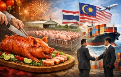 ตรุษจีนจุดสตาร์ตฟื้นราคาหมู 2569: ถอด 3 กลยุทธ์ Big Strategy แก้หมูล้นตลาด–บุกส่งออกมาเลเซีย