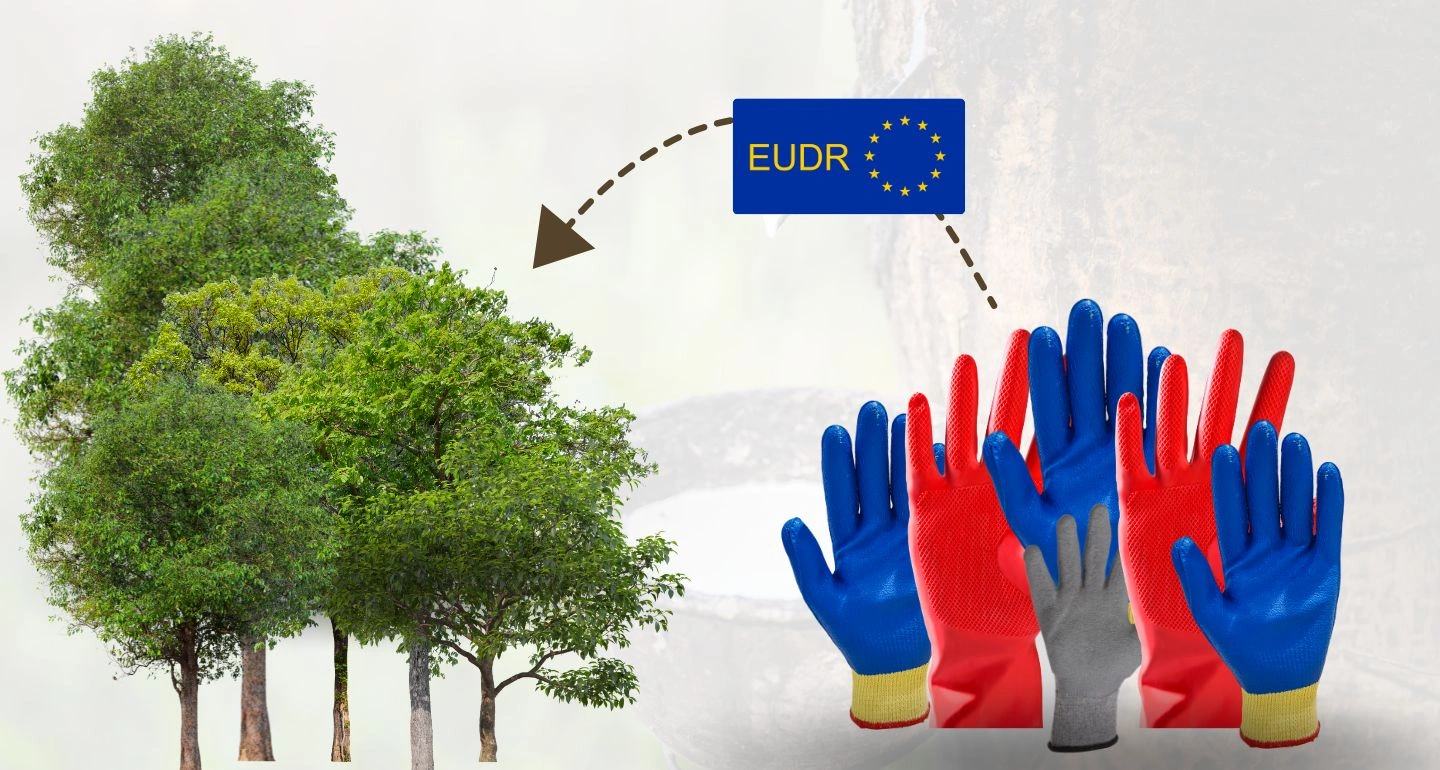 The New Global Arena: ถุงมือยางไทยกับกติกาใหม่ที่ต้องพิชิต