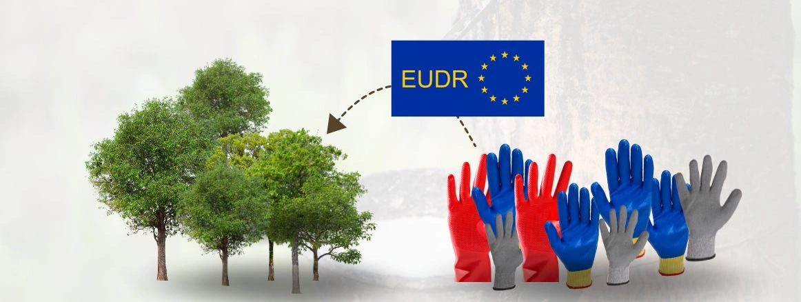 The New Global Arena: ถุงมือยางไทยกับกติกาใหม่ที่ต้องพิชิต