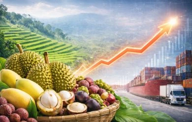 สนค. กางสถิติส่งออกสินค้าเกษตรไทย ปี 2568 “อุตสาหกรรมเกษตร” เครื่องยนต์หลักโตต่อเนื่อง 2 ปีซ้อน