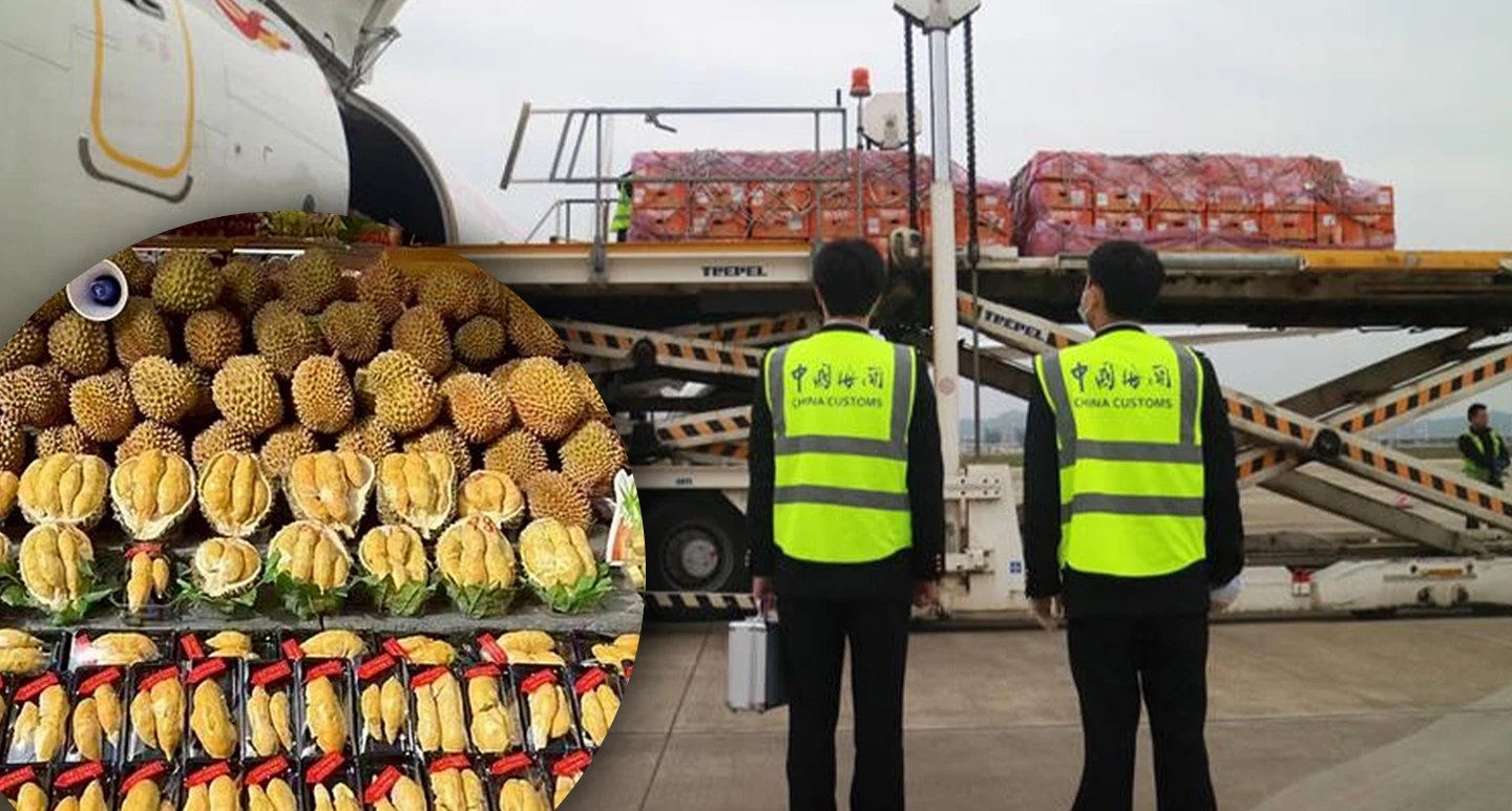เที่ยวบินผลไม้หนุน ‘ทุเรียนไทย’ สดใหม่ส่งถึง ‘กุ้ยโจว’ ในไม่กี่ชั่วโมง