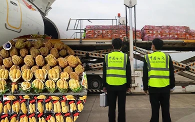 เที่ยวบินผลไม้หนุน ‘ทุเรียนไทย’ สดใหม่ส่งถึง ‘กุ้ยโจว’ ในไม่กี่ชั่วโมง