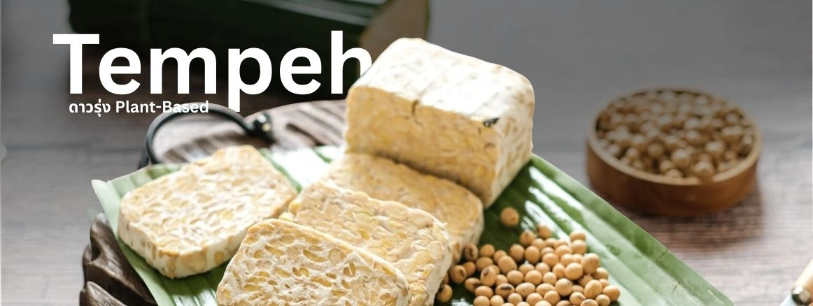 สนค. ชี้ “เทมเป้” ดาวรุ่ง Plant-Based สู่ตลาด Future Food โลก