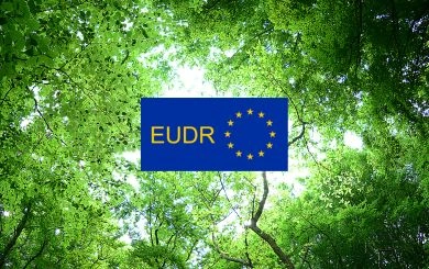 EUDR ปราการสีเขียวแห่งยุโรป: เมื่อ ‘ข้อมูลพิกัดที่ดิน’ กลายเป็นใบเบิกทางใหม่ของสินค้าไทย