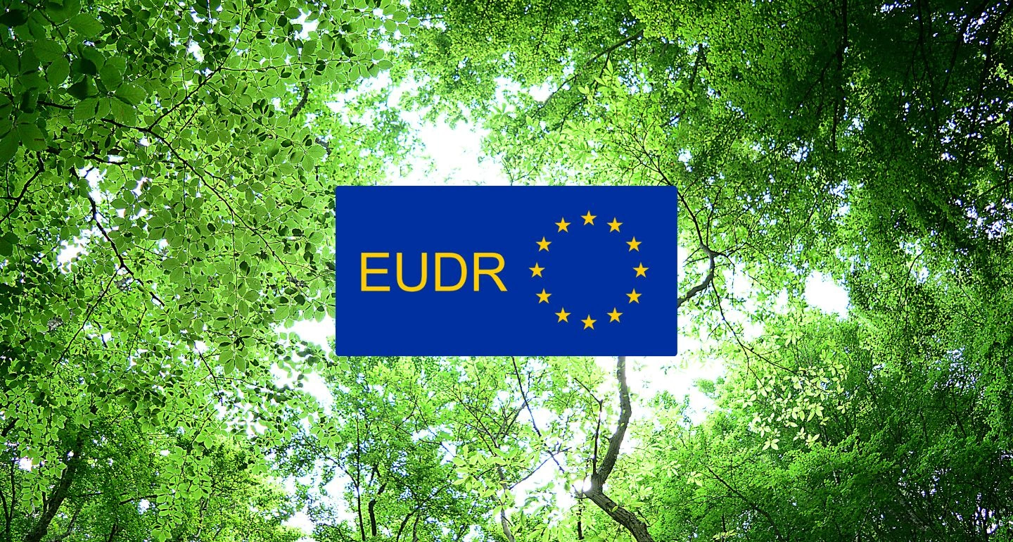 EUDR ปราการสีเขียวแห่งยุโรป: เมื่อ ‘ข้อมูลพิกัดที่ดิน’ กลายเป็นใบเบิกทางใหม่ของสินค้าไทย